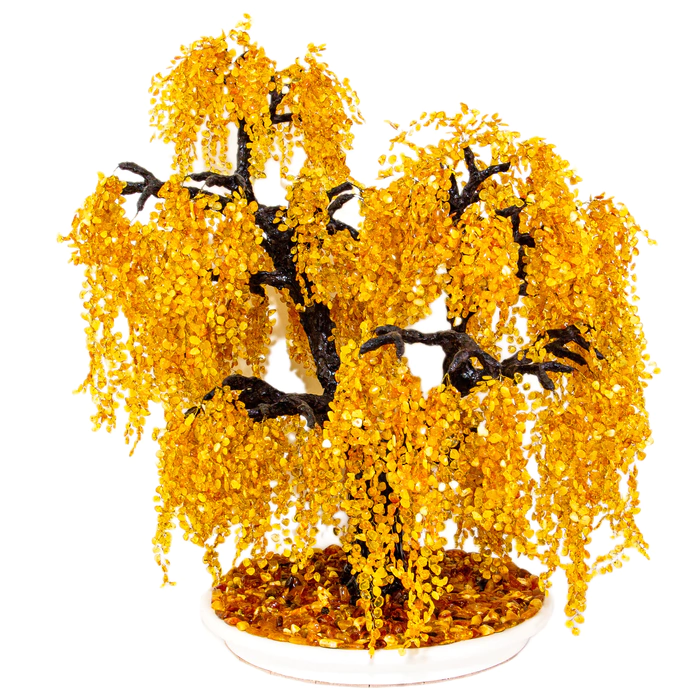 Amber tree "Weeping Willow"