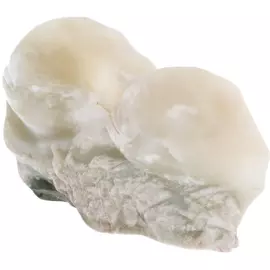 Скульптура из белого нефрита "Рыбы"