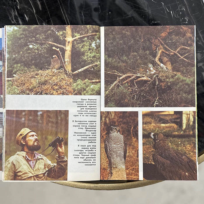 An autographed book by zoologist Nikolai Drozdov (In the World of Animals) 1991.