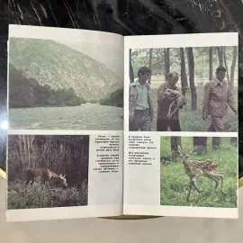 Книга с автографом учёного-зоолога Николая Дроздова (В мире животных) 1991г. Книга с автографом учёного-зоолога Николая Дроздова (В мире животных) 1991г.