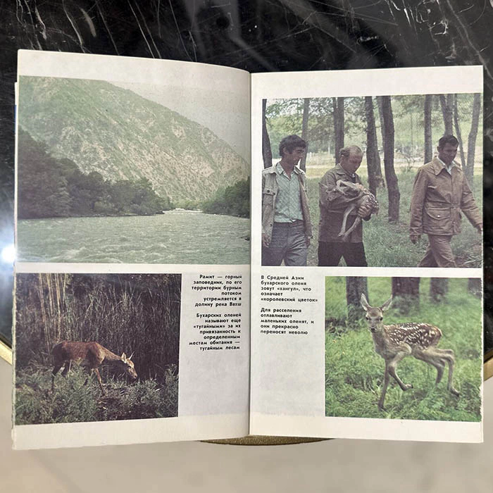 An autographed book by zoologist Nikolai Drozdov (In the World of Animals) 1991.