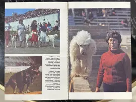 Книга с автографом учёного-зоолога Николая Дроздова (В мире животных) 1991г. Книга с автографом учёного-зоолога Николая Дроздова (В мире животных) 1991г.