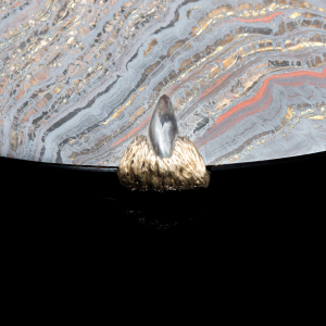 Silver dish "Tiger's claw" with gold plating