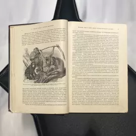 Книга "Происхождение животного мира" Вильгельма Гааке 1903г.