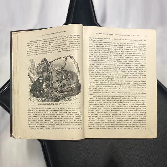 The book "The Origin of the animal world" by Wilhelm Gaake 1903.