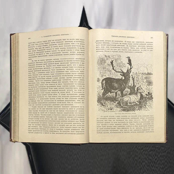 The book "The Origin of the animal world" by Wilhelm Gaake 1903.