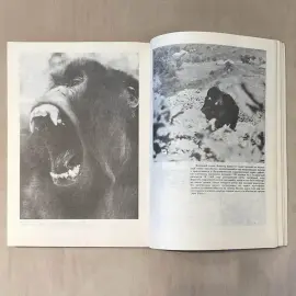 Книга с автографом учёного-зоолога Николая Дроздова (Гориллы в тумане) 1990г. Книга с автографом учёного-зоолога Николая Дроздова (Гориллы в тумане) 1990г.