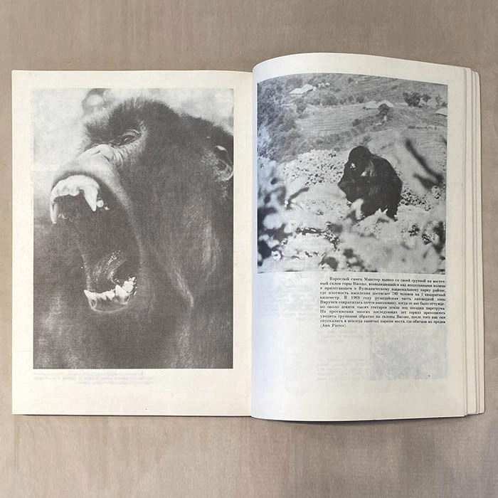 An autographed book by zoologist Nikolai Drozdov (Gorillas in the fog) 1990.