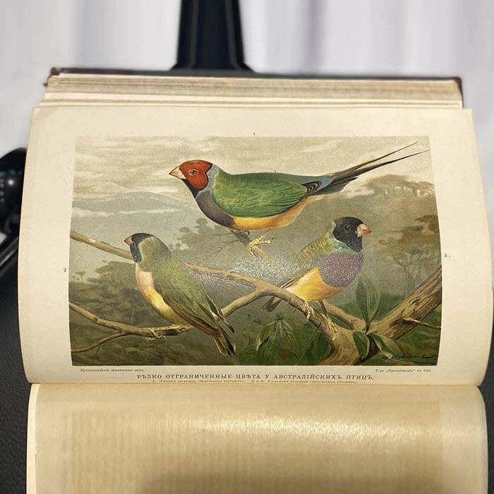 The book "The Origin of the animal world" by Wilhelm Gaake 1903.