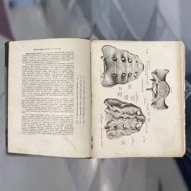 The book "Sobotta J. Atlas of descriptive human Anatomy" signed by Alexander Kuprin in 1912.