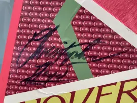 Реплика ховерборда из к/ф "Назад в будущее" с автографом актера Кристофера Ллойда