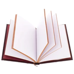 Leather-bound diary "Gryffindor"
