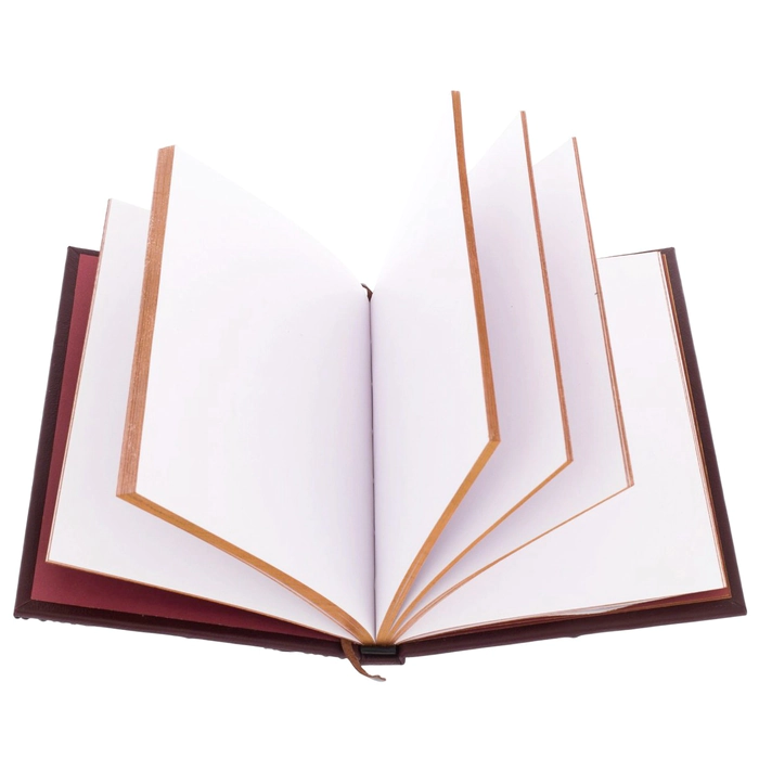 Leather-bound diary "Gryffindor"