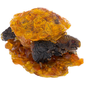 Souvenir box made of amber "Turtle"