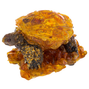 Souvenir box made of amber "Turtle"