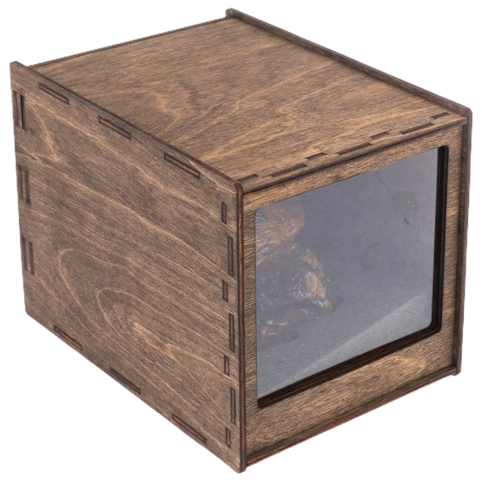 Souvenir box made of amber "Turtle"