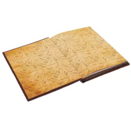 Книга в кожаном переплете "Великие русские врачи"