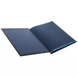 Книга в кожаном переплете "Москва и москвичи"