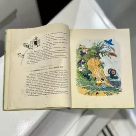 The book "The Adventures of Dunno and his friends" by writer Nikolai Nosov