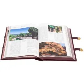 Подарочная книга в кожаном переплёте "Вино" А. Домине, в коробе