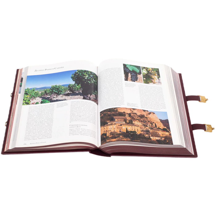 Leather-bound gift book "Wine" by A. Domine, in a box