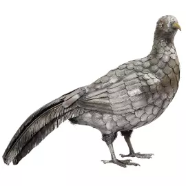 Silver sculpture "Pheasant"