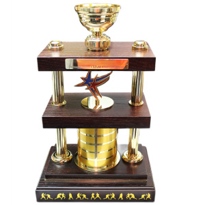 Corporate gift "Single Combats, MMA Cup"