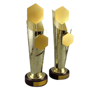 Corporate gift "Cups for IT competitions"
