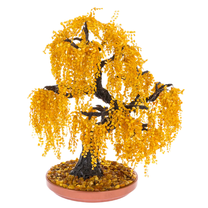 Amber tree "Willow weeping"