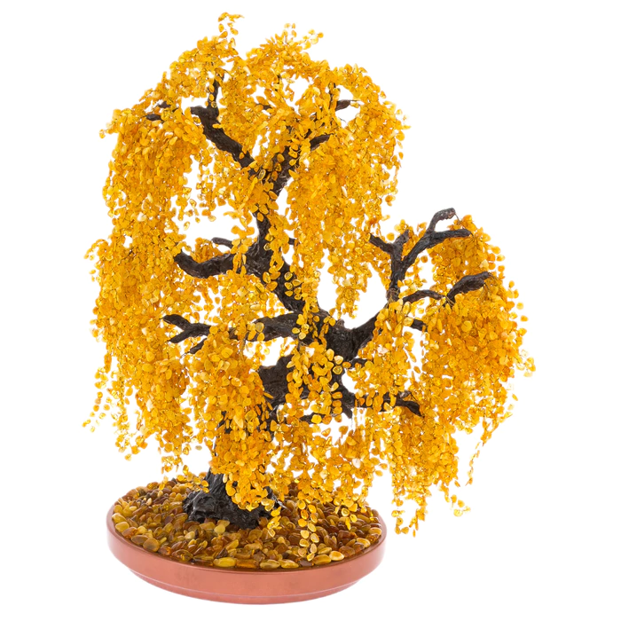 Amber tree "Willow weeping"