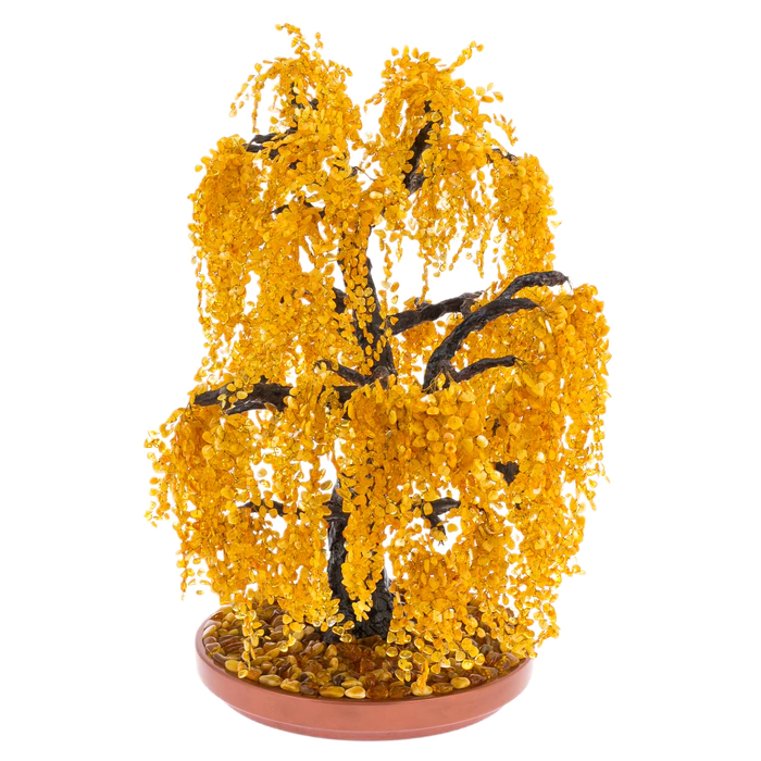 Amber tree "Willow weeping"