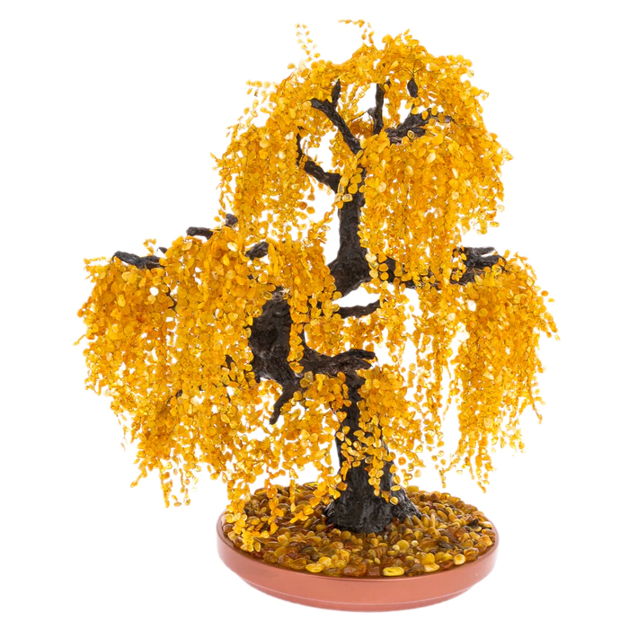 Amber tree "Willow weeping"