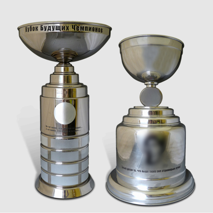 Корпоративный подарок "Кубки будущих чемпионов"