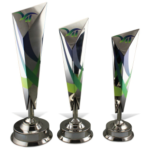 Corporate gift "Set of cups for corporate competitions"