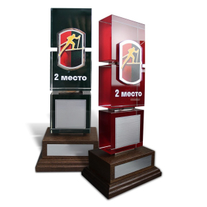 Corporate gift "Ski Racing Award"