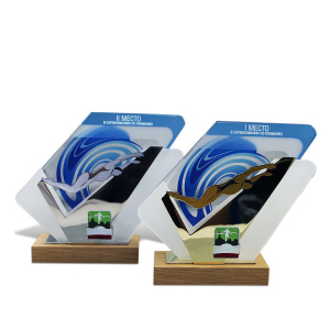 Corporate gift "Swimming Award"