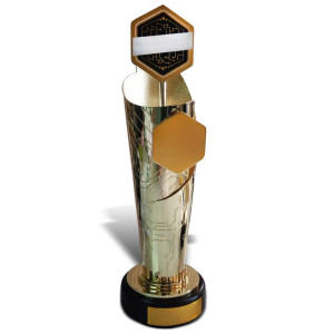 Corporate gift "Cup for IT competitions"