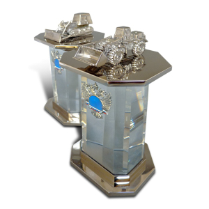 Corporate gift "Prizes for awarding"