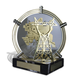 Corporate gift "Prize for the power engineer"