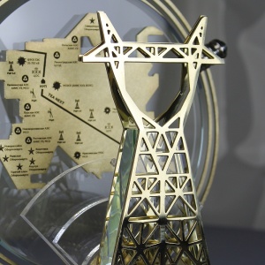 Corporate gift "Prize for the power engineer"