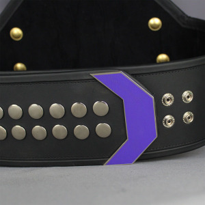 Corporate gift "Award belt"