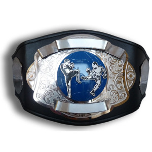 Corporate gift "Award-winning kickboxing belt"
