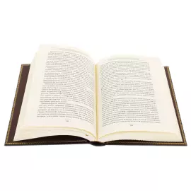 The leather-bound book "The Book of Power. Strategy of indirect Action" by Basil Henry Liddell Garth, in a case