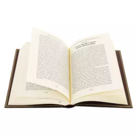 The leather-bound book "The Book of Power. Strategy of indirect Action" by Basil Henry Liddell Garth, in a case