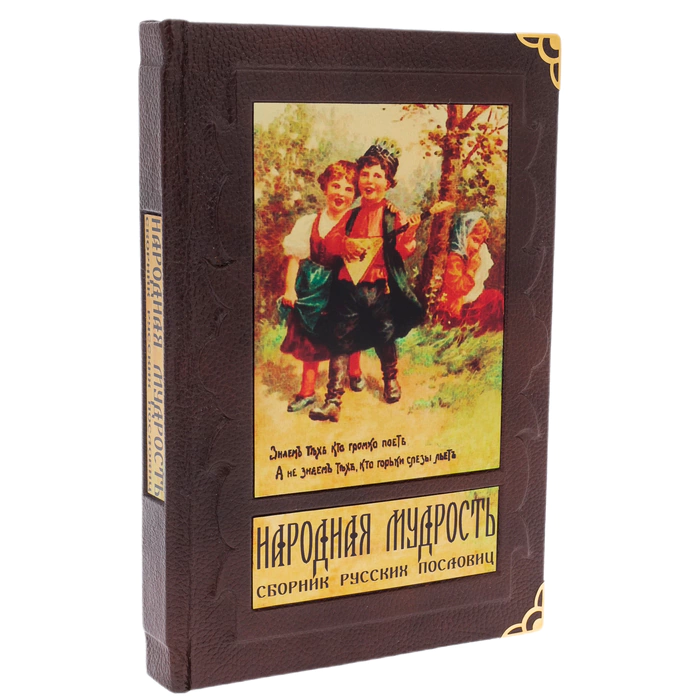 The leather-bound book "Folk wisdom. Collection of Russian proverbs" in a box