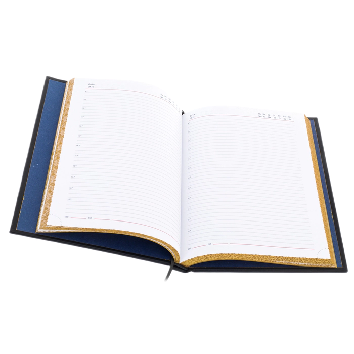 Leather-bound diary "For matters of national importance"