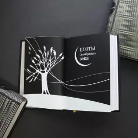 Книга в кожаном переплёте "Поэты серебряного века"