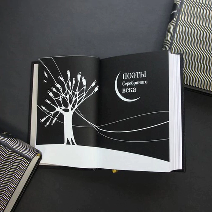 Книга в кожаном переплёте "Поэты серебряного века"