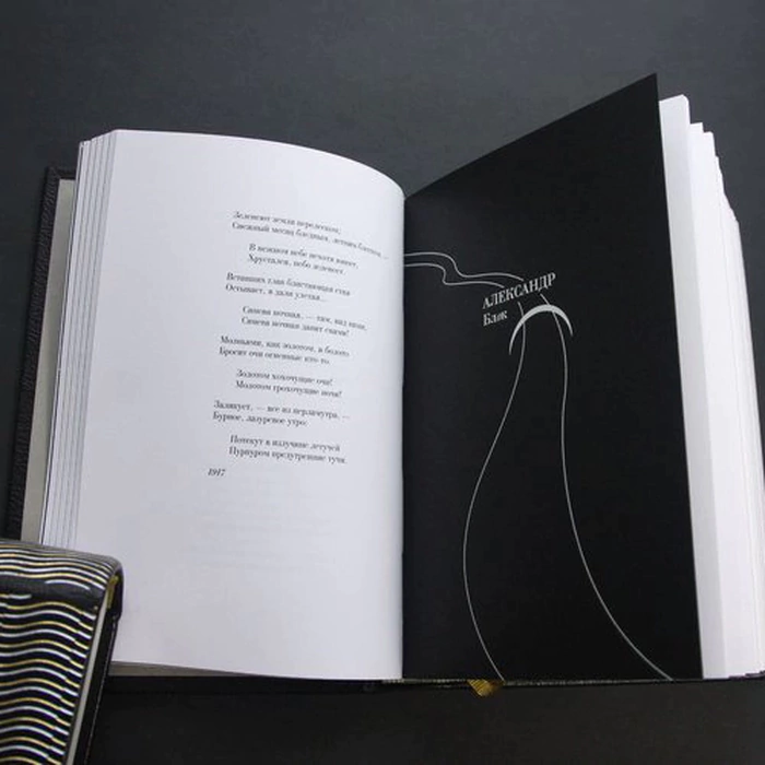 Книга в кожаном переплёте "Поэты серебряного века"