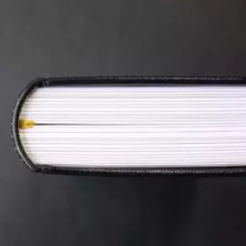 Книга в кожаном переплёте "Поэты серебряного века"